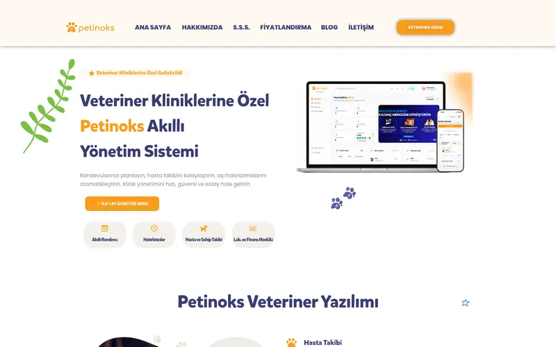 Petinoks web sitesi ekran görüntüsü